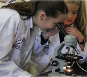 Rowville Secondary College