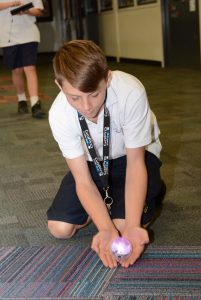 Dromana College