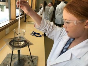 Berwick College