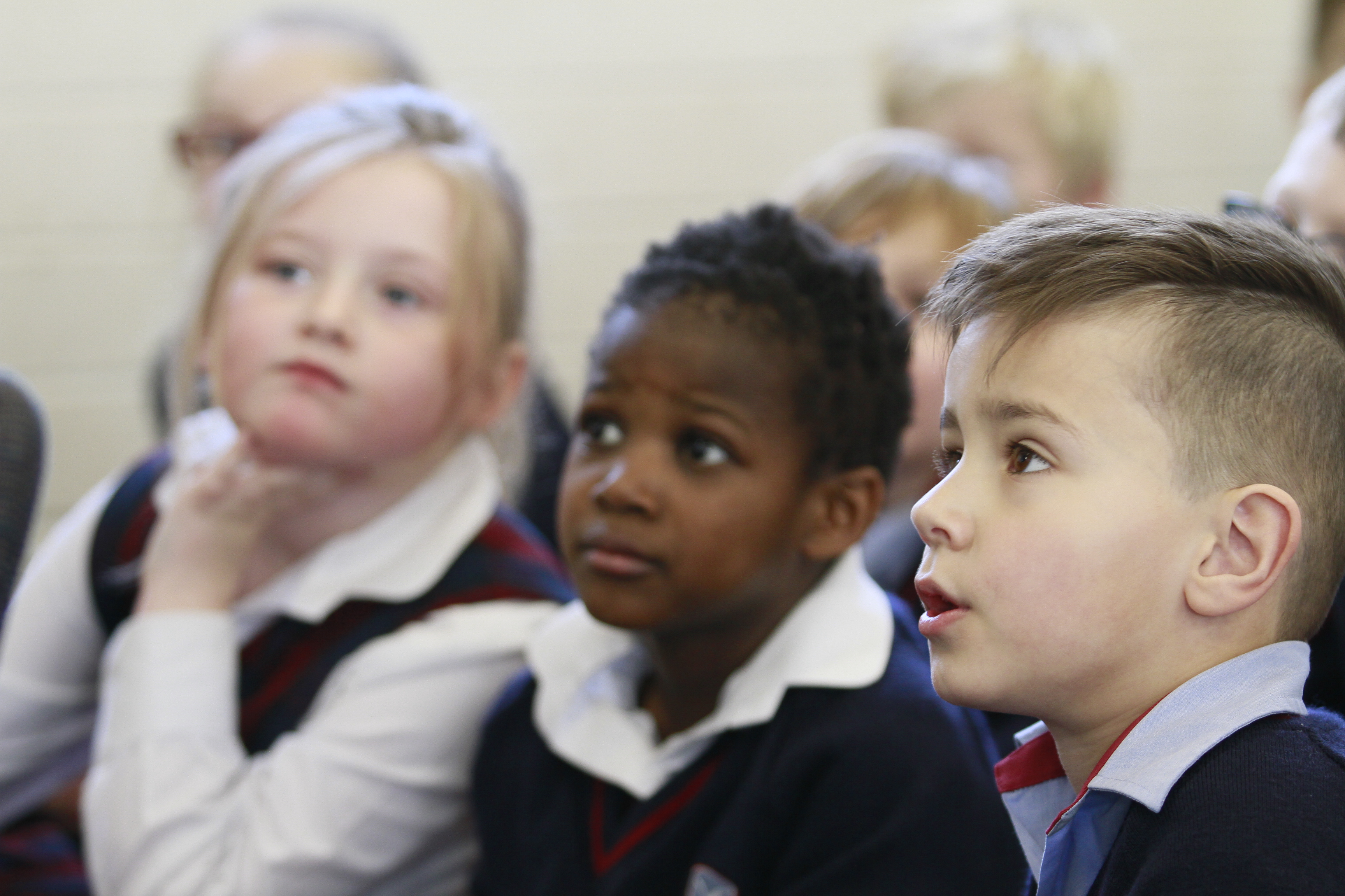 Geelong Baptist College  Victoria School Guides