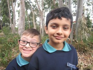 Dandenong Valley SDS